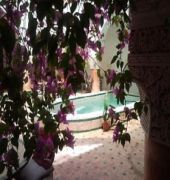 Riad Khamssa Sidi Bou Othmane المظهر الخارجي الصورة